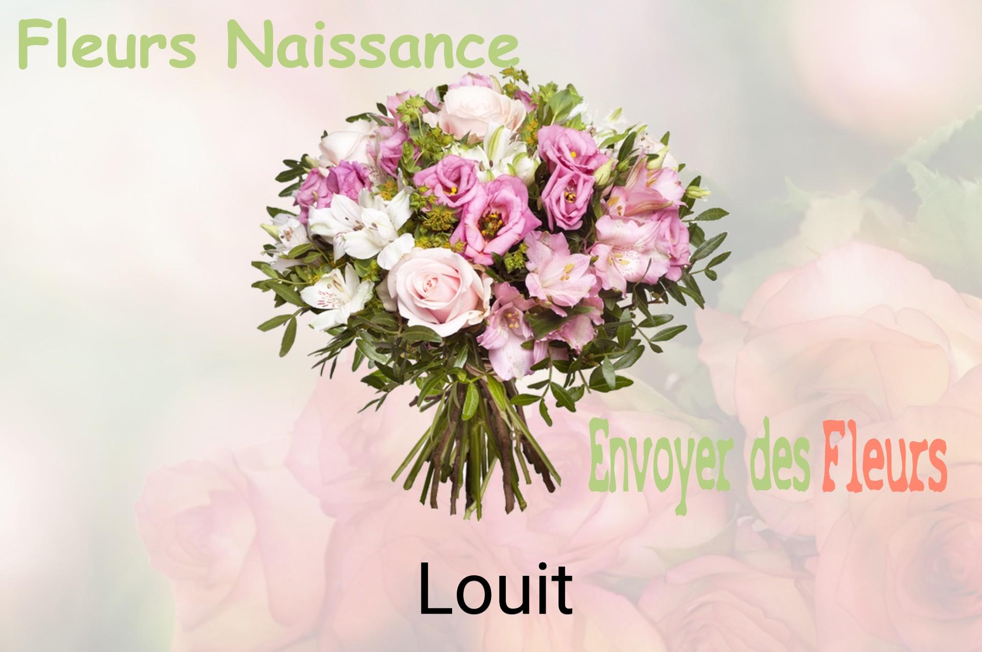 Bouquet de fleurs de naissance livré à Louit