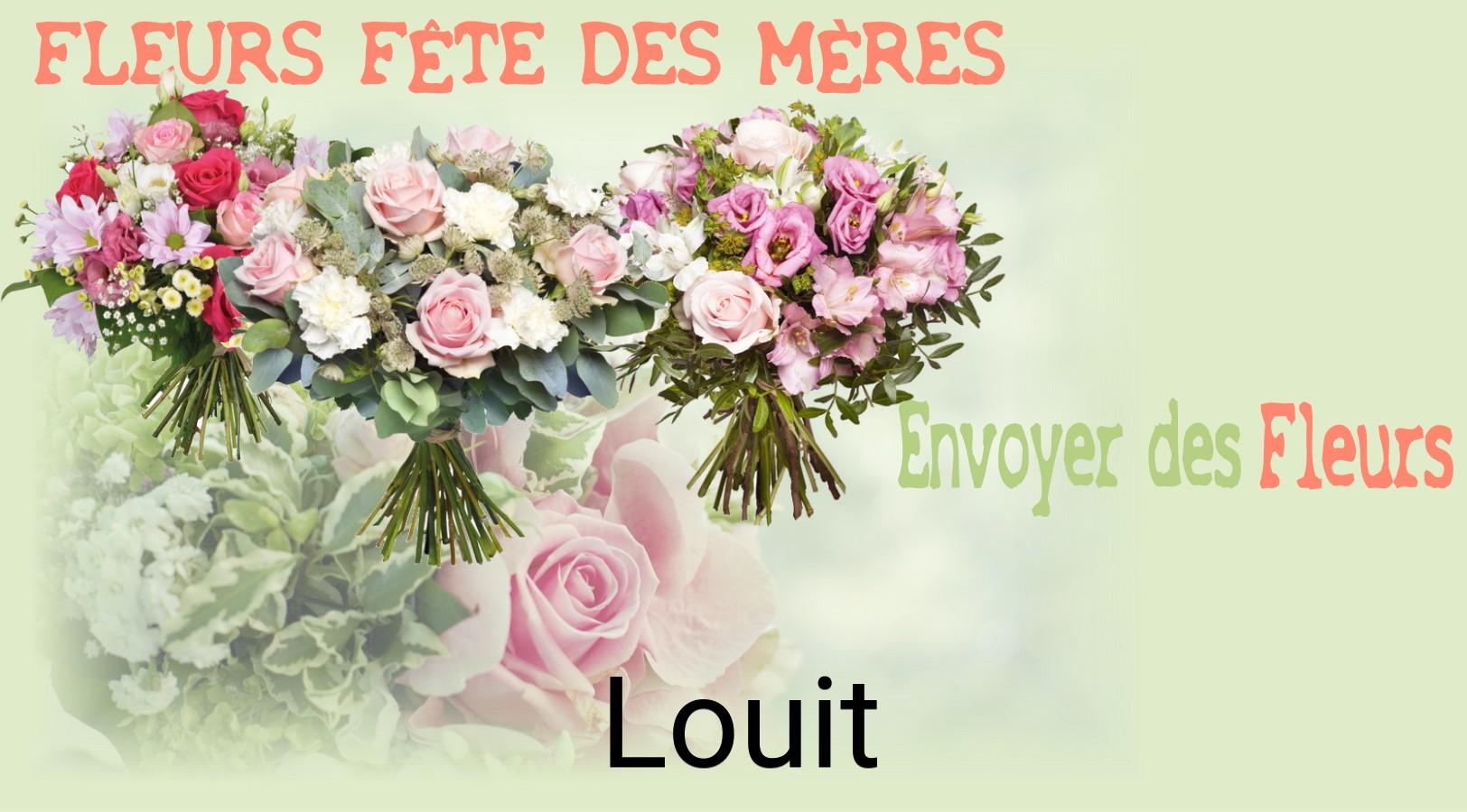 Bouquet de Fête des Mères livré à Louit